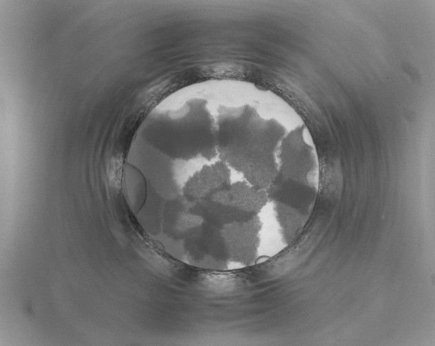 X0000115660189200912101059