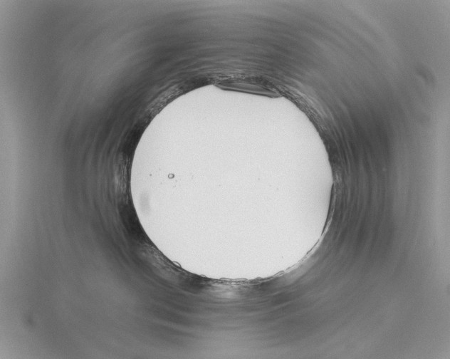 X0000115660190200912101059