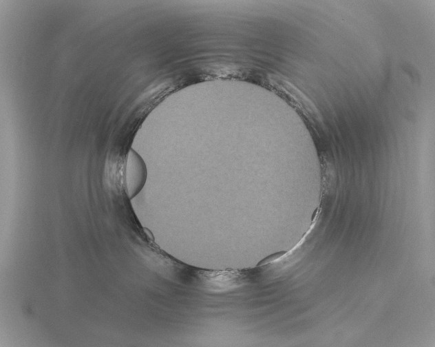 X0000115660191200912101059