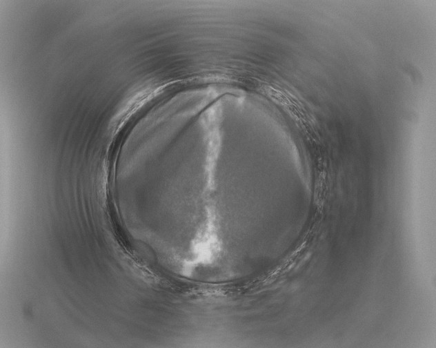 X0000115660194200912101058