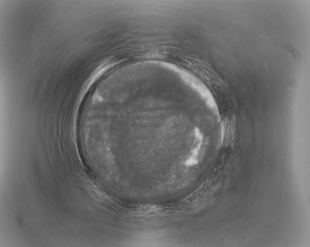 X0000115660195200912101058