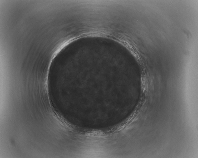 X0000115660196200912101058