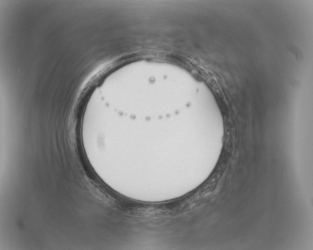 X0000115660197200912101058