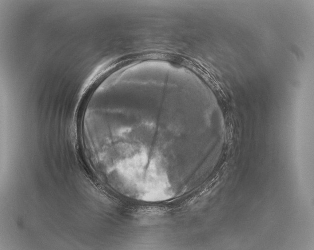 X0000115660198200912101058