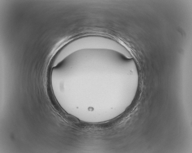 X0000115660199200912101058