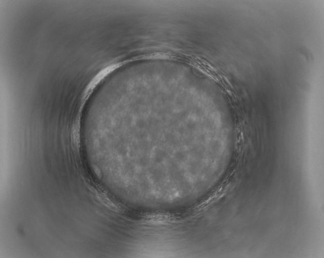 X0000115660200200912101058