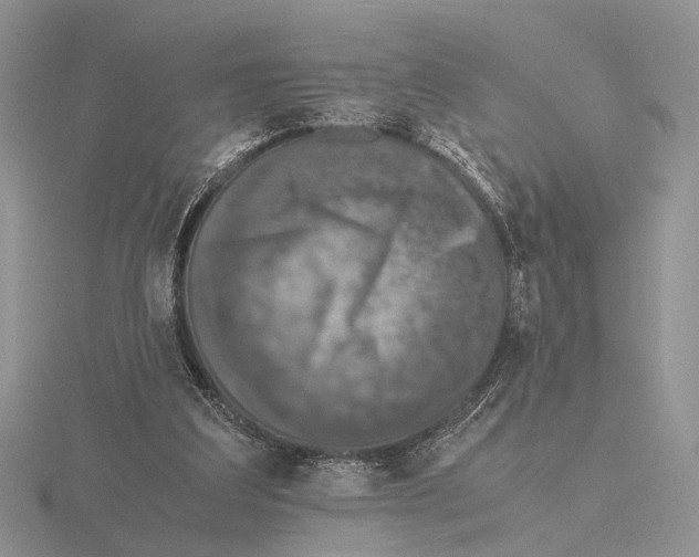 X0000115660203200912101058