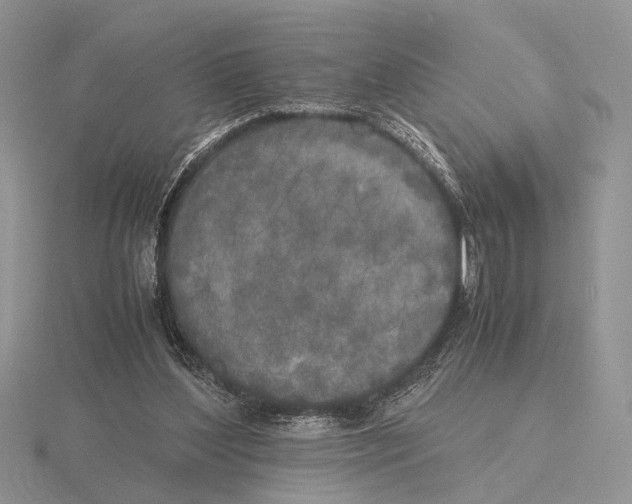 X0000115660204200912101058