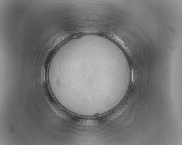 X0000115660205200912101058