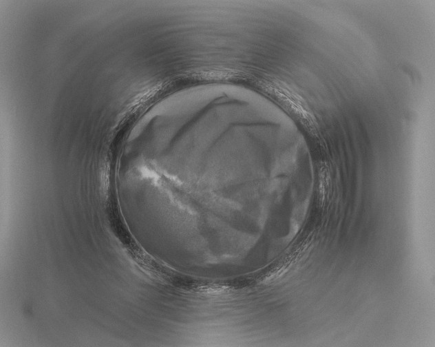 X0000115660206200912101058