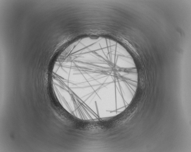 X0000115660207200912101058