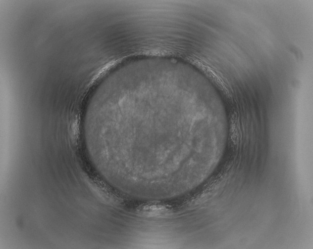 X0000115660208200912101058