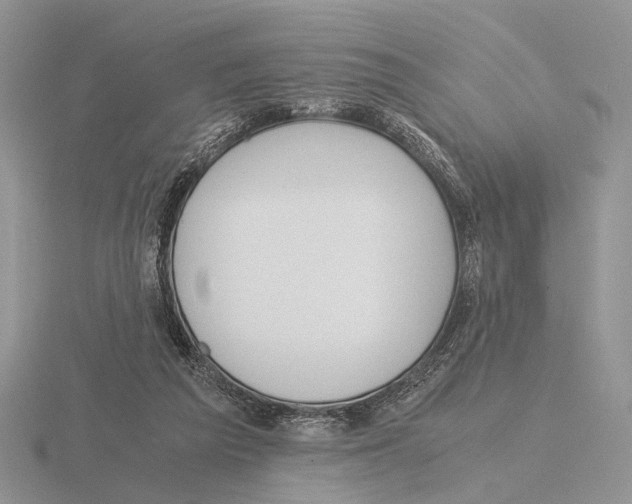 X0000115660209200912101058