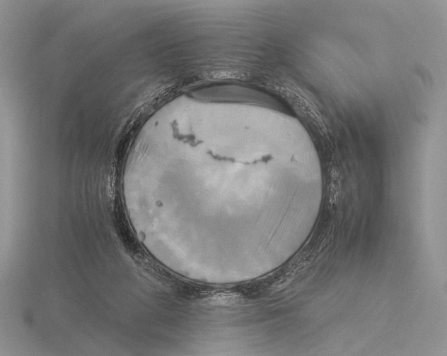 X0000115660210200912101058