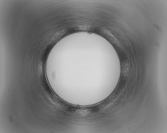 X0000115660213200912101058