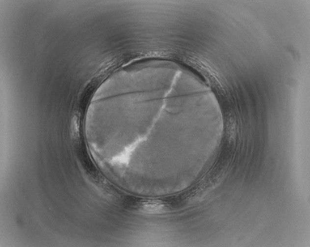 X0000115660214200912101058