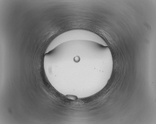 X0000115660215200912101058