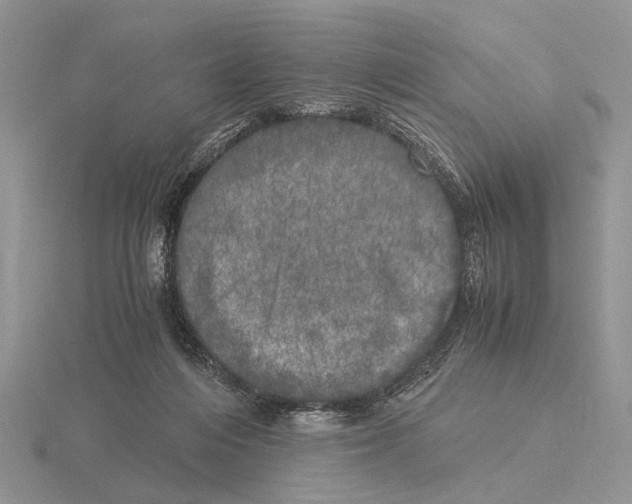 X0000115660216200912101058