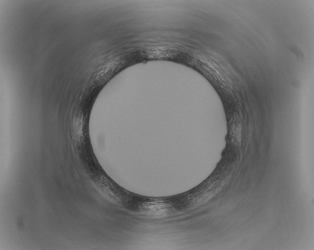 X0000115660219200912101058