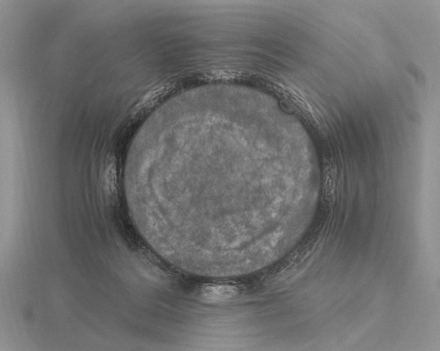 X0000115660220200912101058