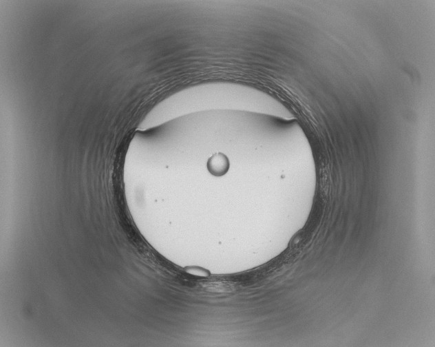 X0000115660221200912101058