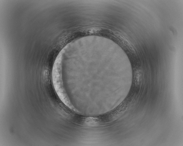 X0000115660222200912101058