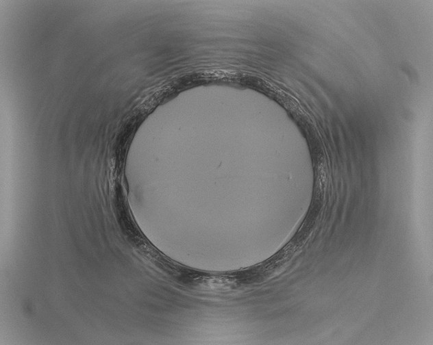 X0000115660223200912101058