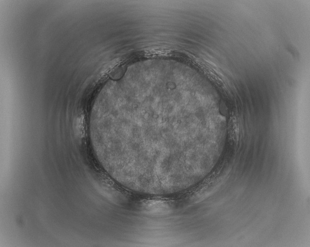 X0000115660224200912101058