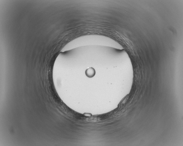 X0000115660225200912101058