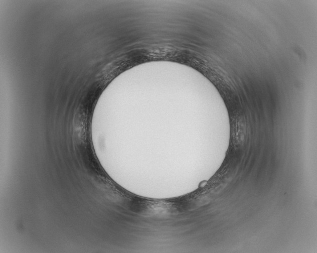 X0000115660226200912101058