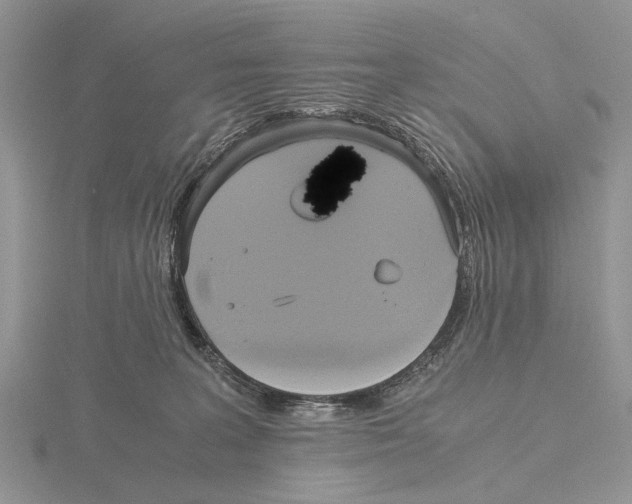 X0000115660227200912101058