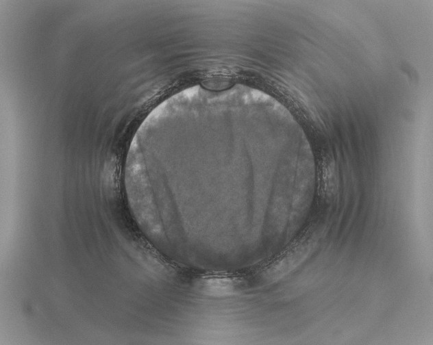 X0000115660228200912101058