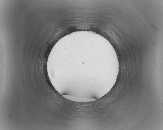 X0000115660229200912101058