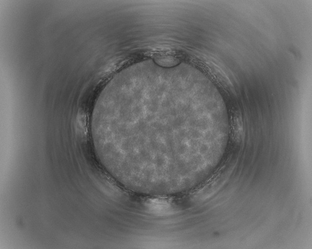 X0000115660232200912101058