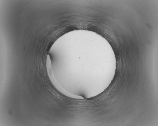 X0000115660233200912101058