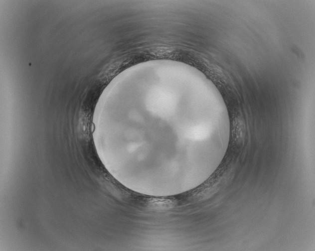 X0000115660234200912101058