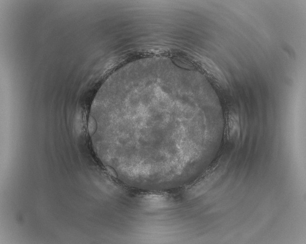 X0000115660236200912101058