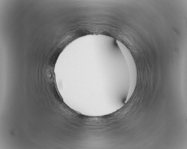 X0000115660237200912101058