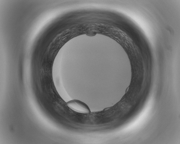 X0000115660239200912101058