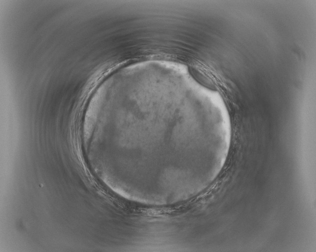 X0000115660241200912101057