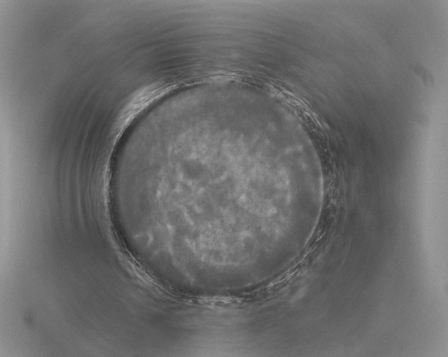 X0000115660242200912101057