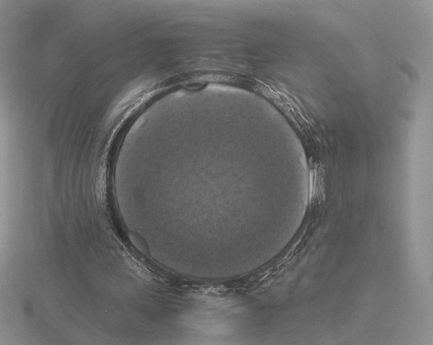 X0000115660243200912101057