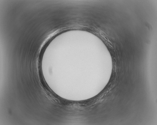 X0000115660244200912101057