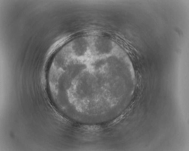 X0000115660245200912101057