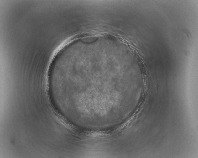 X0000115660246200912101057