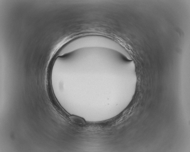 X0000115660248200912101057