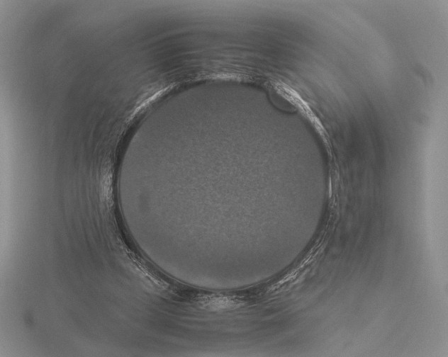 X0000115660249200912101057