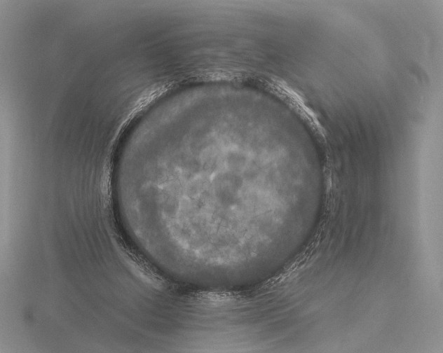 X0000115660250200912101057