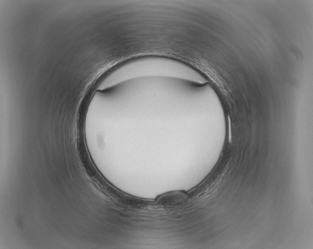 X0000115660252200912101057