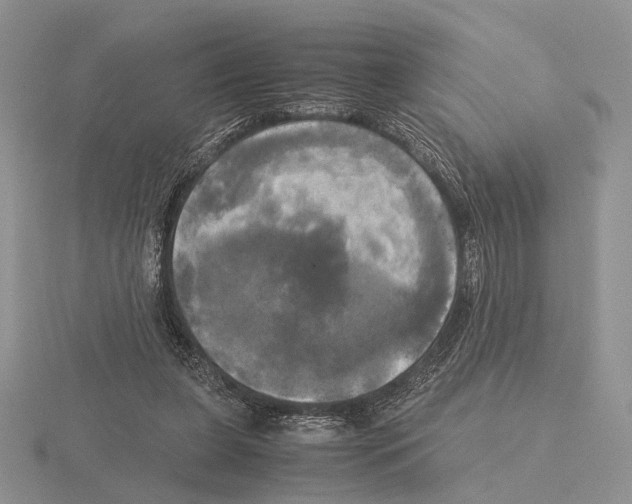 X0000115660255200912101057